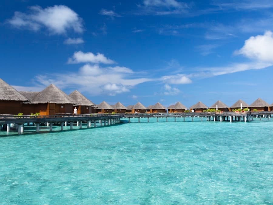 Pirogue Lodge