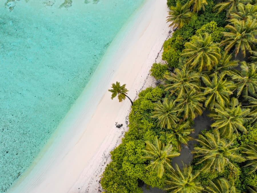 Coco de Mer Hotel